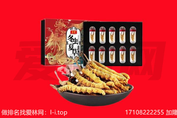 甘孜回收虫草.jpg